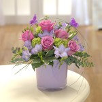 Fragrance Delight