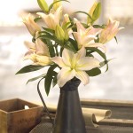 Lily Jug