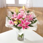Sumptuous Lily