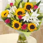 Sunflower Mix