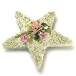 5 Point Star