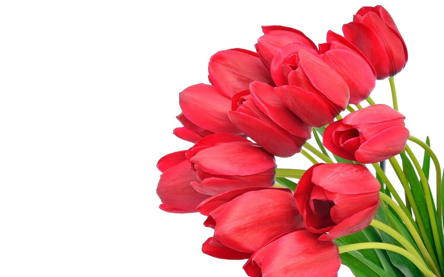 Cambridge flower deliveries from Barnwell Florists